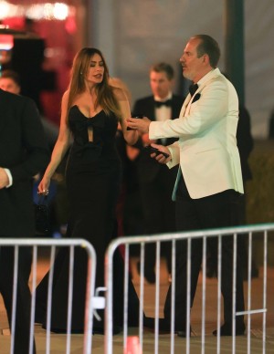 photos Sofia Vergara