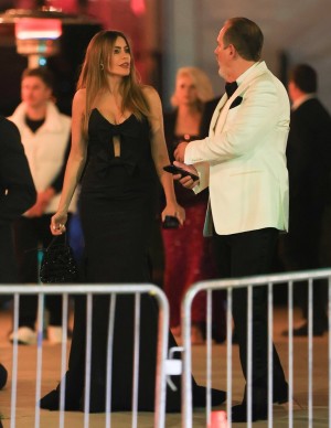 photos Sofia Vergara