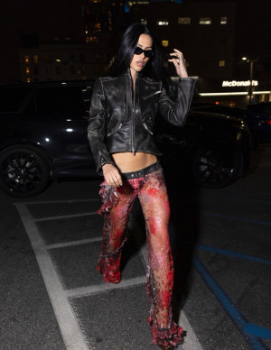 photos Amelia Gray Hamlin